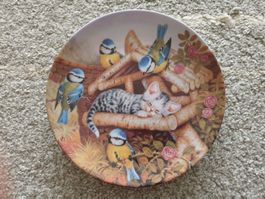 Katzen Sammelteller Scholz Überraschung im Garten