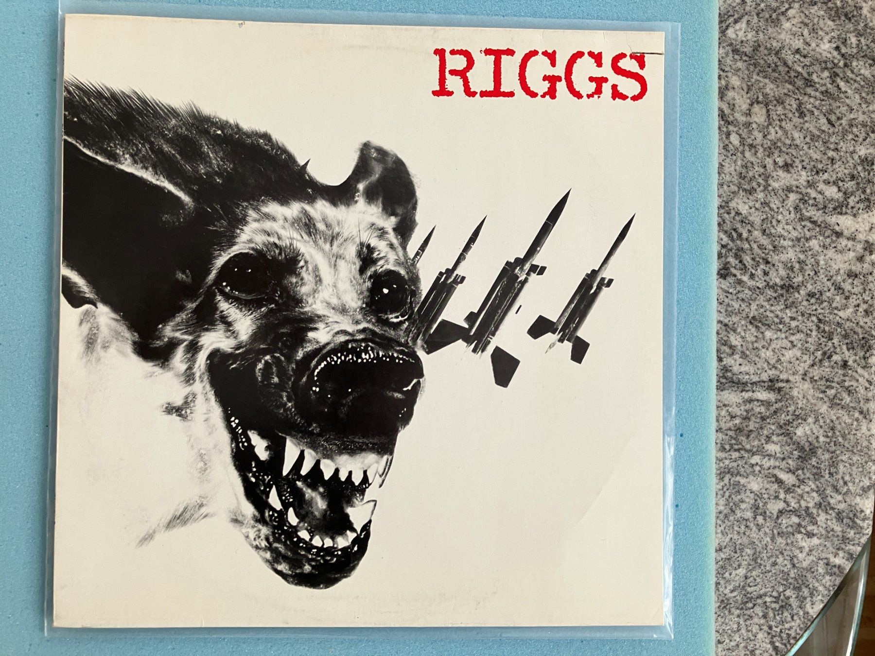 Dischi in vinile: Riggs – Usato da Aarwangen venduto da Jukebox3