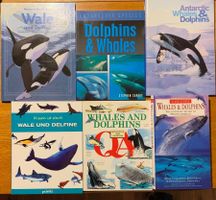 Sammlung diverser Wale & Delfine Bücher auf Deutsch+Englisch