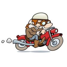 Profile image of BikeRacer_85