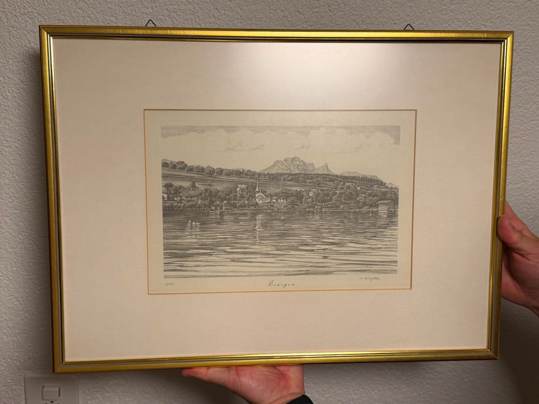 Posters & Illustrations: Bild der Gemeinde Einigen am Thunersee – D'occasion à Unterseen par Froschmu