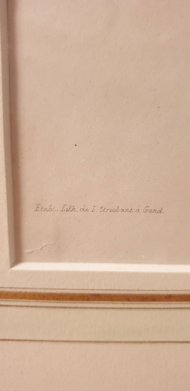 Incisioni: Stich  um 1860 – Usato da Winterthur venduto da han_m89f 4
