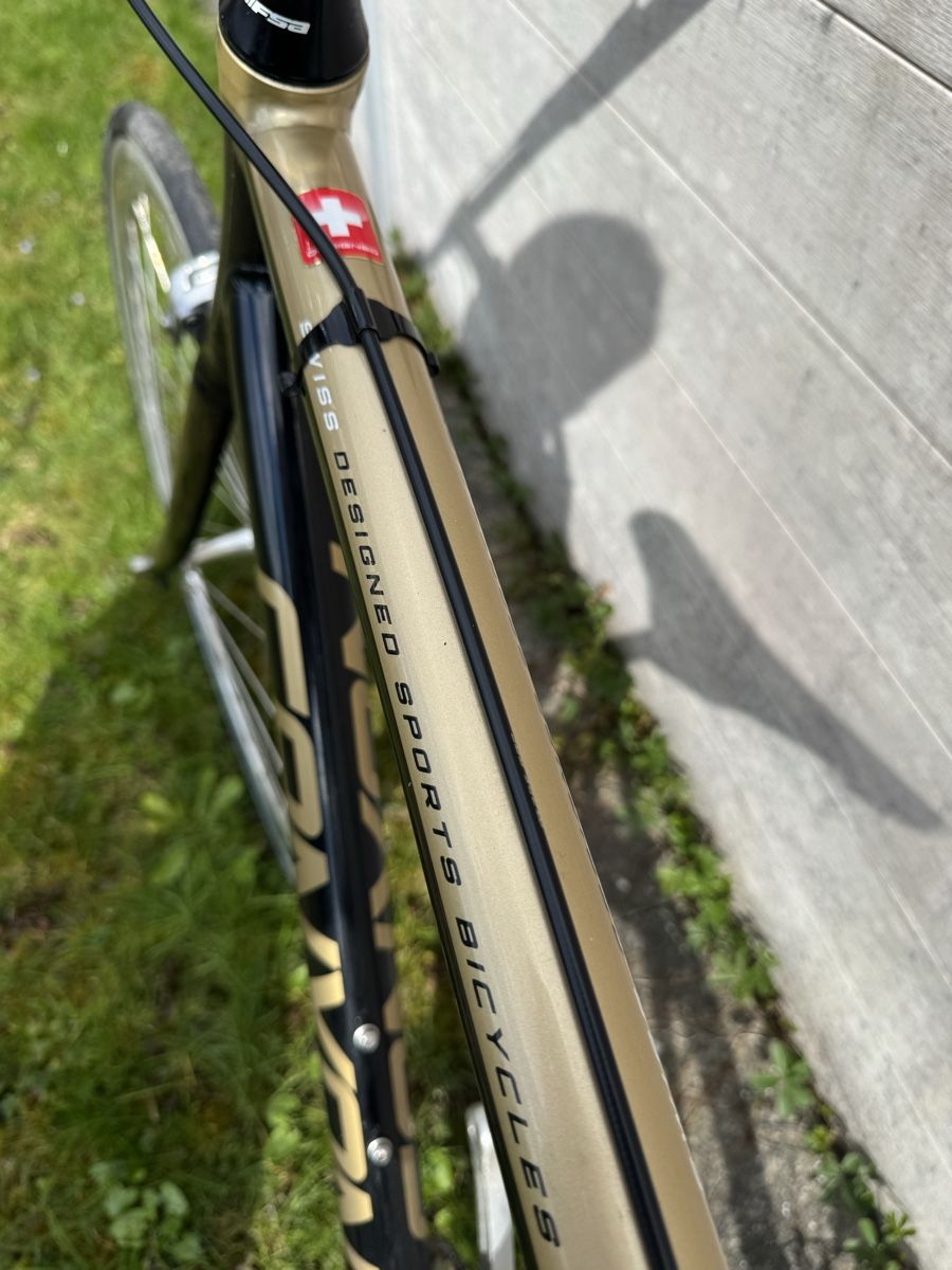 Canyon Velos: Canyon FXD Single Speed, Grösse L – Gebraucht aus Lufingen von steinijr 1
