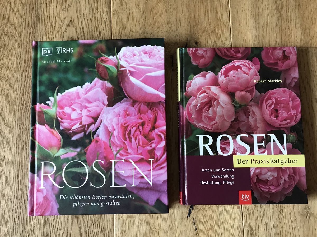 Libri: 2 Bücher über Rosen – Usato da Gelterkinden venduto da Schallgeber