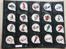 Serie 7353    Schuhe             AZM  Gastro