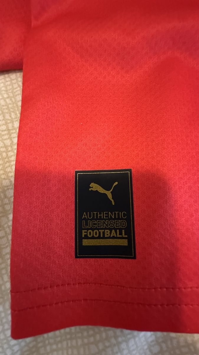 Puma Canottiere & Pantaloni: Switzerland Jersey 2024/2025 – Nuovo (secondo la descrizione) da Oberrieden venduto da jon_5cl2 4