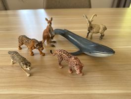 Spielfiguren Set Wildtiere Schleich 6-teilig