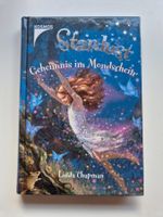 STARDUST  💙🪄  Geheimnis im Mondschein     Band 01