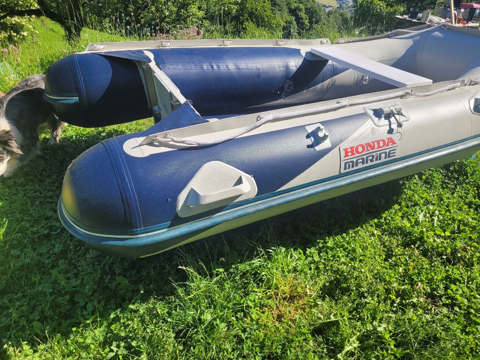 Boote: Honda Marine Schlauchboot  – Defekt aus Brienz BE von Hundechef 3