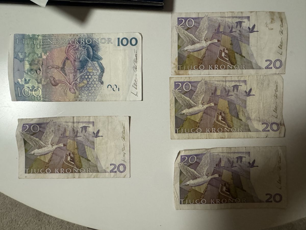 Banconote: alte schwedische Banknoten – Usato da Massagno venduto da ilm_vd96 1