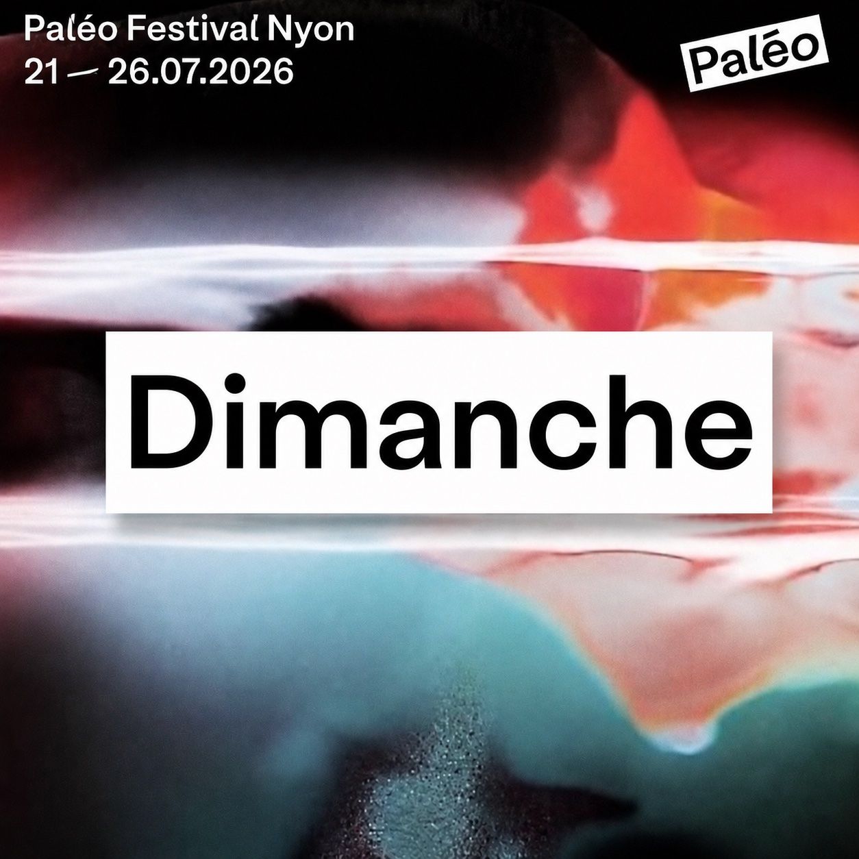 Billets: Paléo - Dimanche Adulte - vente en main propre – Neuf avec emballage d'origine à Gland par Lucien1196