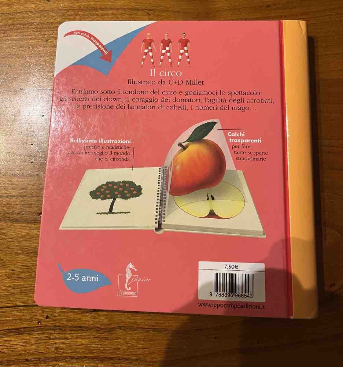 Libri: Schönes Bilderbuch IL CIRCO – Usato da Zollikerberg venduto da elbamania 1