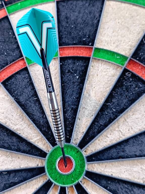 Freccette: Target Rob Cross Darts – Usato da Horgen venduto da Aldo25 1