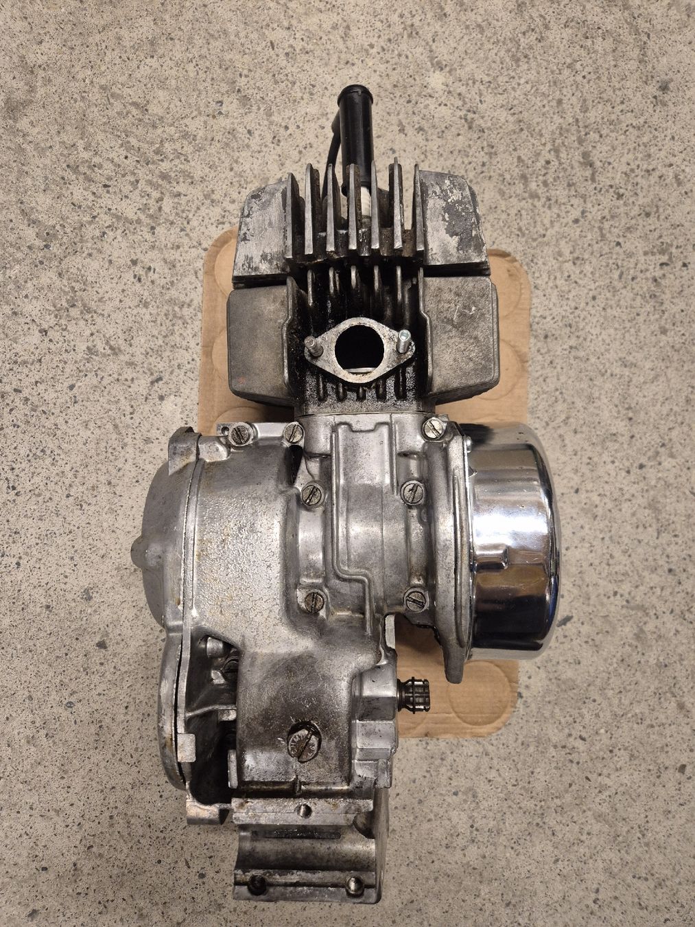 Puch Motori: Mofa Puch Maxi Motor – Usato da Neuenkirch venduto da etaner62 4