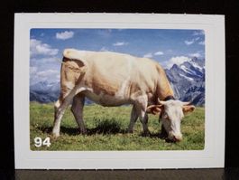 MIGROS MANIA Nature Detectives Nr. 94