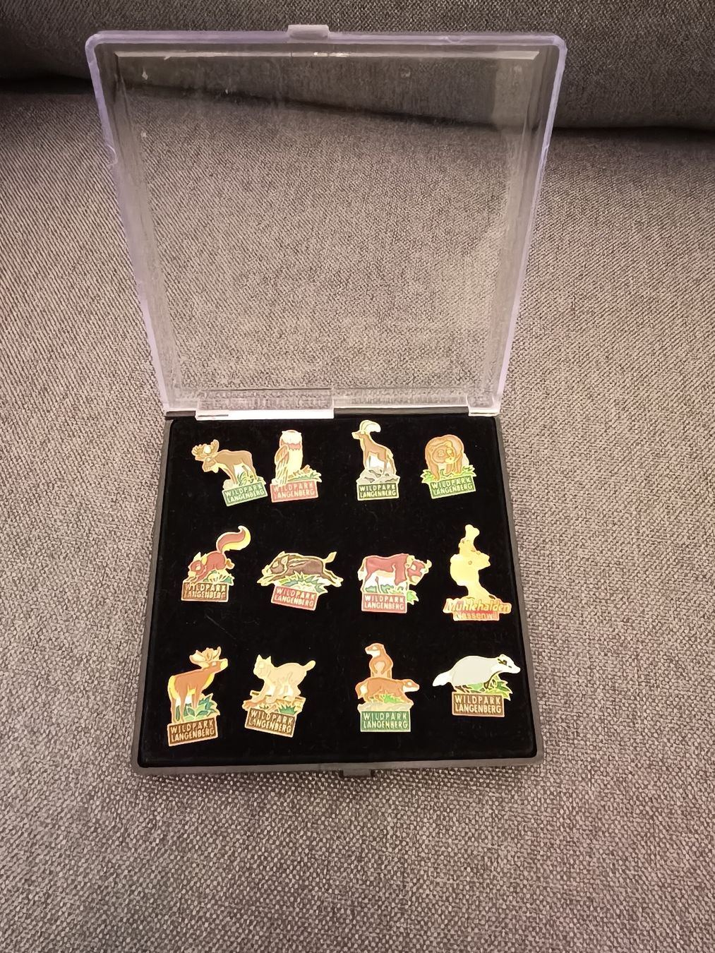Placchette & Badge: 12 Ansteckpins / Pin – Nuovo (secondo la descrizione) da Oensingen venduto da jes_55lt 2