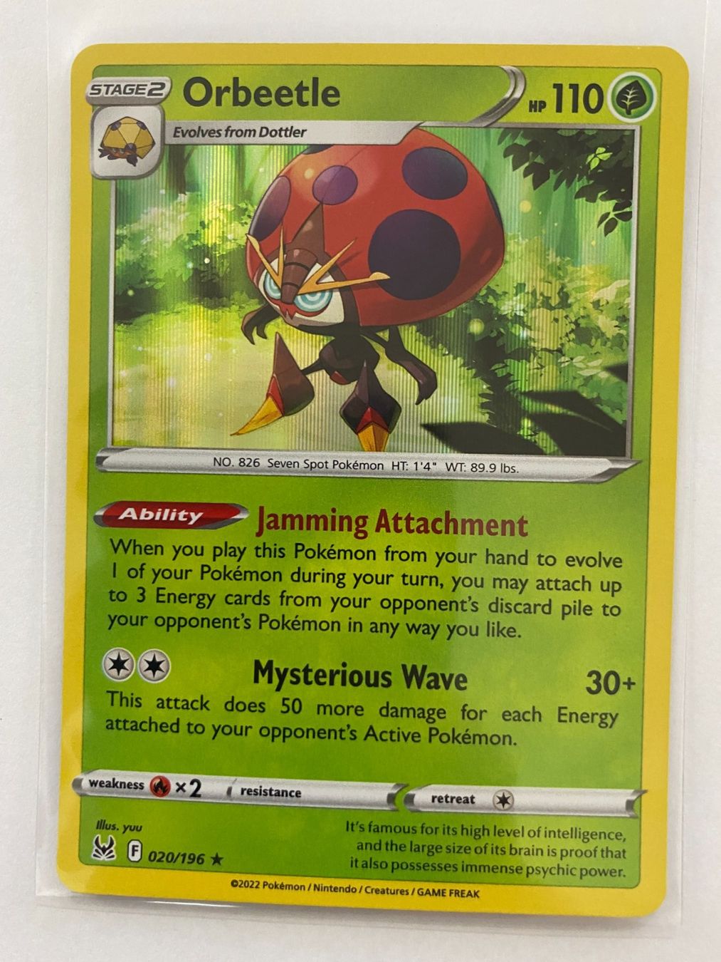 Pokémon Carte collezionabili: Pokemon Orbeetle 020/196 holo Lost Origin EN – Nuovo (secondo la descrizione) da Weingarten-Kalthäusern venduto da McGmavlo
