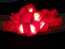 Romantische Lichterkette mit roten Rosen