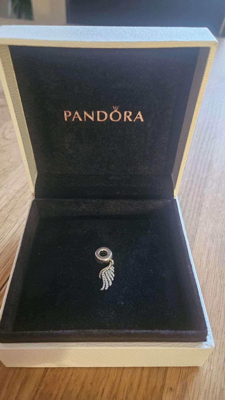 Pandora Pendentifs: Pandora Angel Wing Charm – Neuf (Voir description) à Bern par chiaramerchi