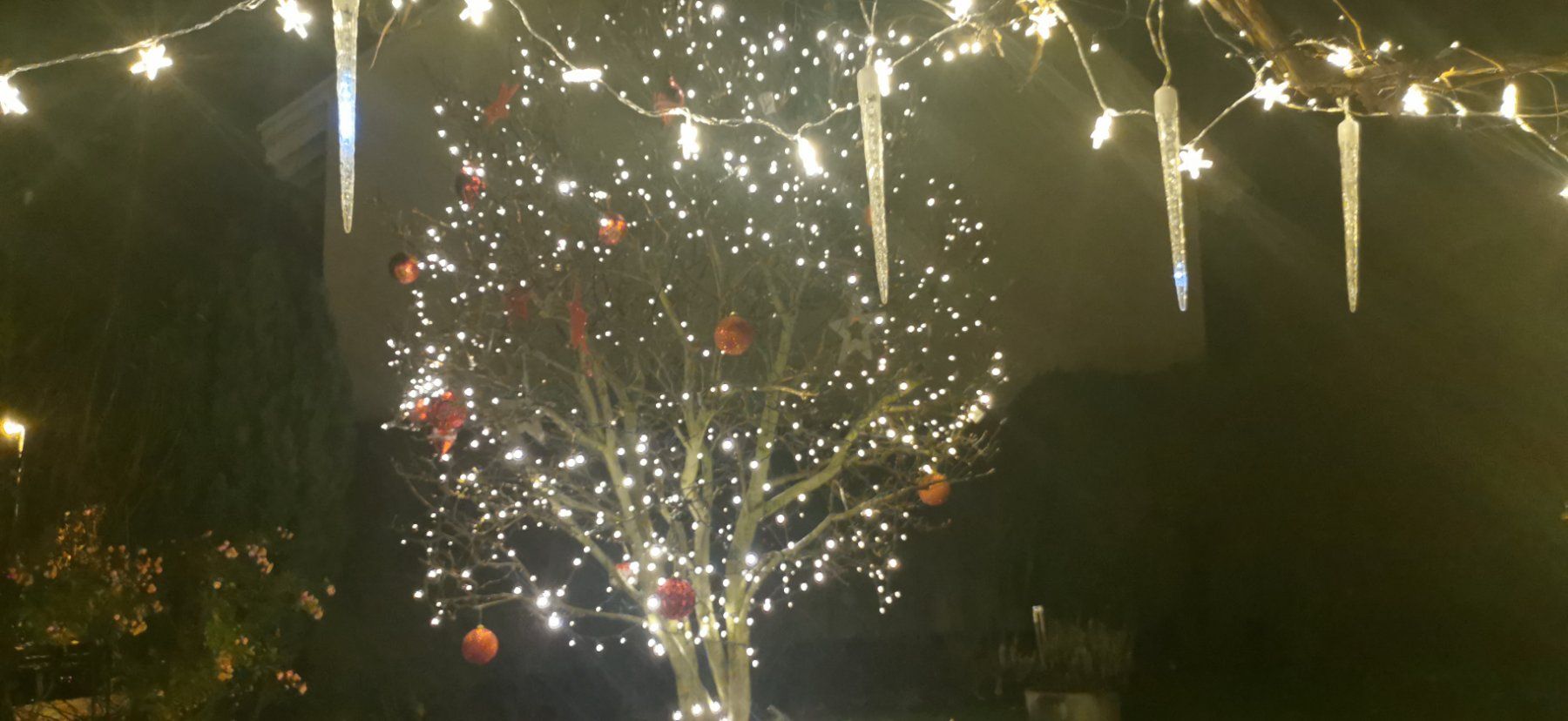 Tutte le decorazioni: Weihnachtsdeko aussen – Usato da Kefikon TG venduto da msa_7zdv 2