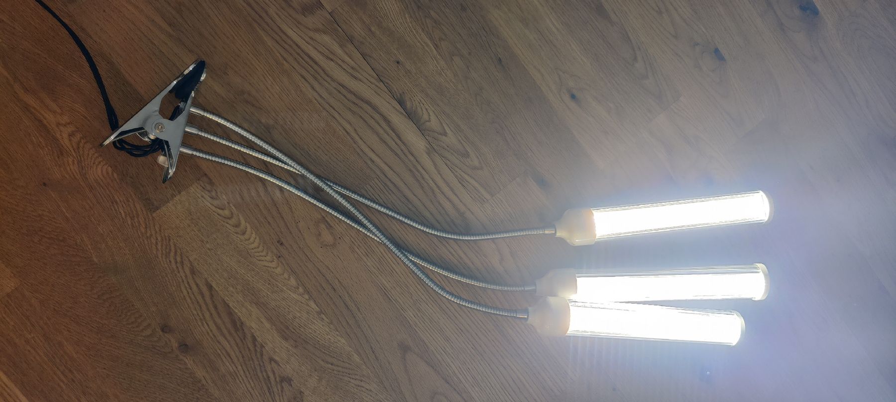 Lampade: Pflanzenlampe LED mit Klemme 3er-Set gebraucht – Usato da Nendeln venduto da Anthomy 2