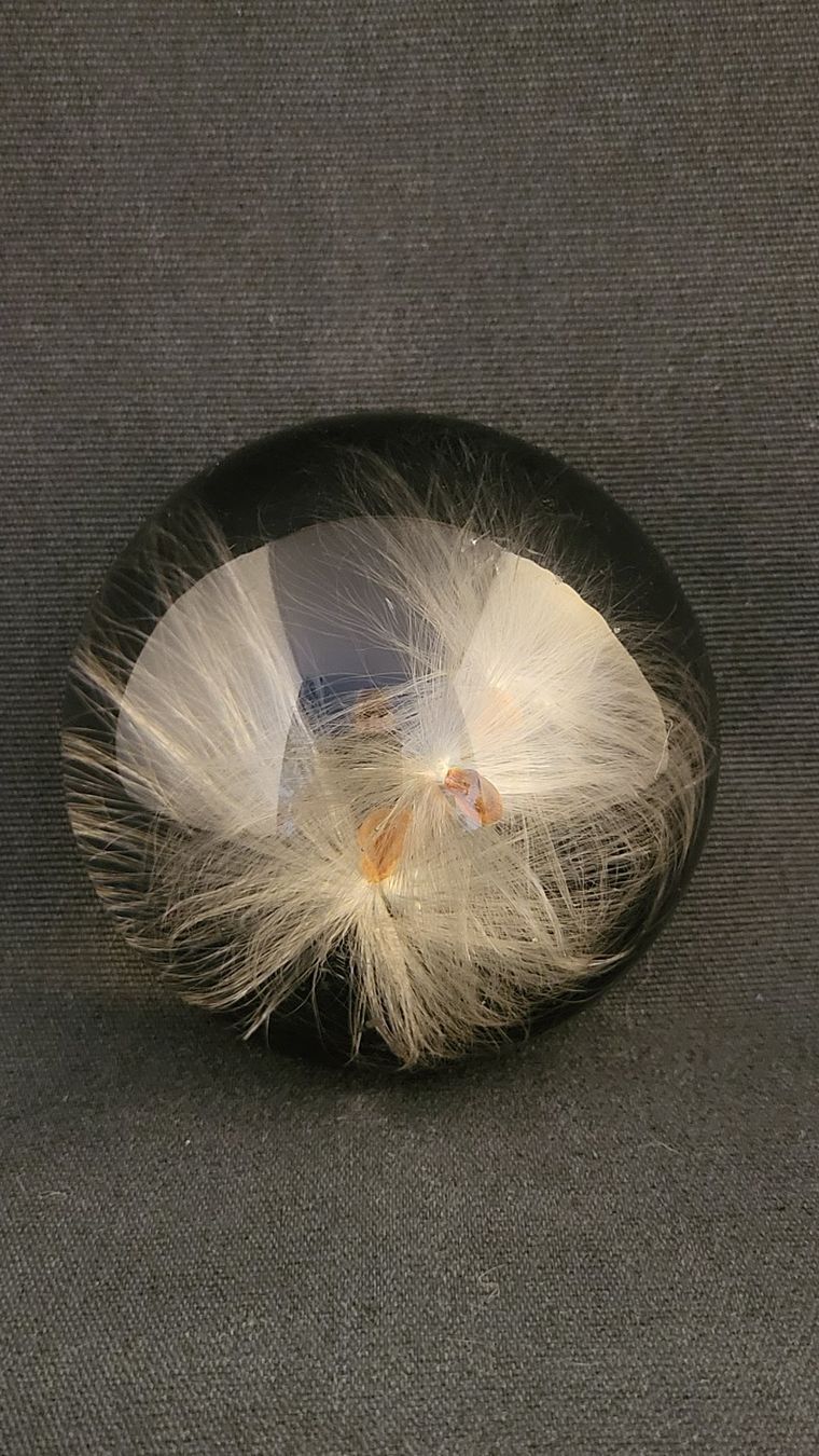 Statuette: Paperweight mit Pusteblumen – Usato da Basel venduto da spinne02 4