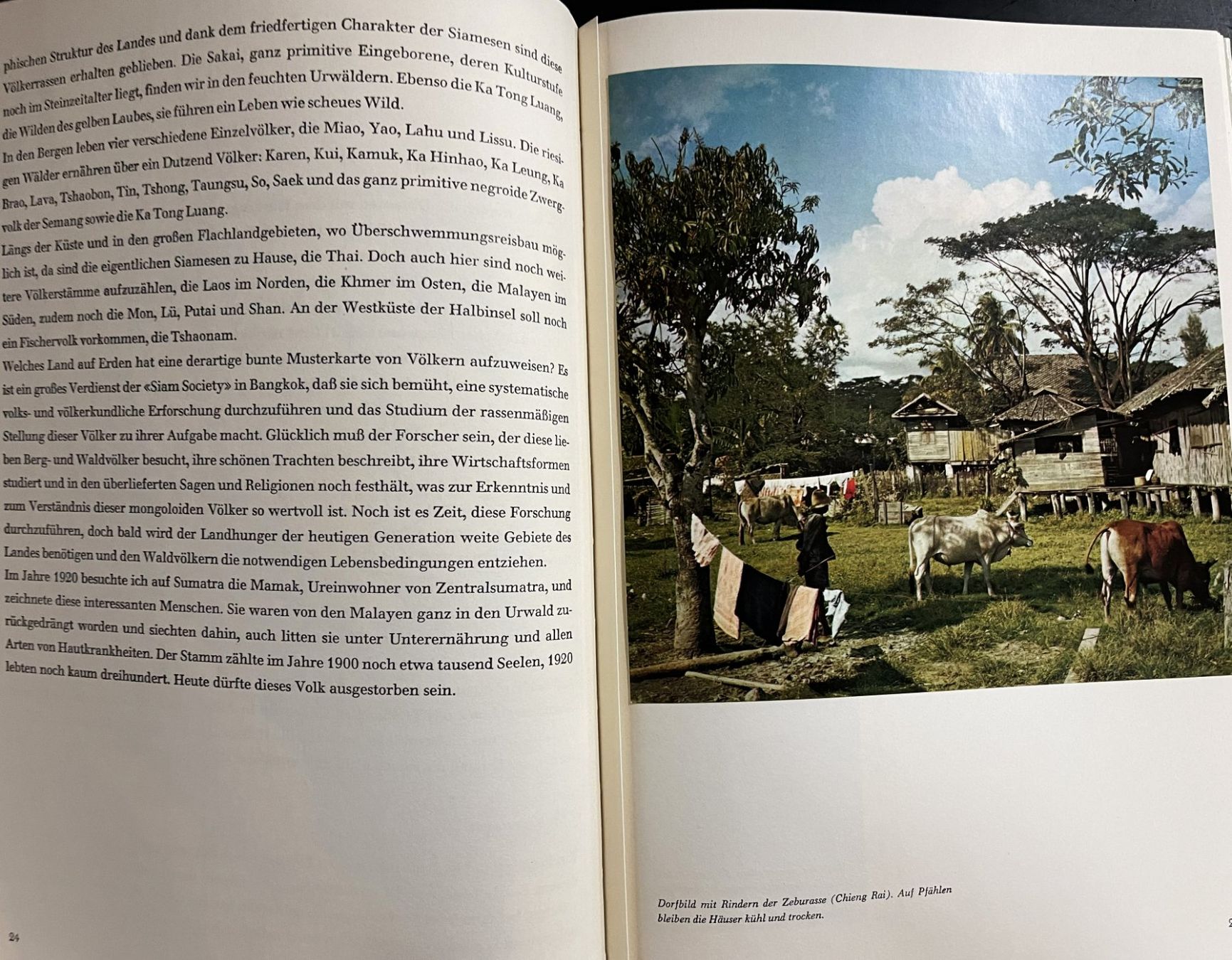 Libri: Silva Verlag, Siam – Usato da Oftringen venduto da Vucki 3