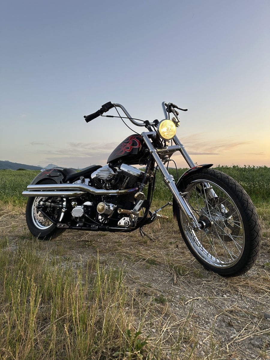 Harley-Davidson Chopper: Harley Davidson Softail – Usato da Alterswil FR venduto da Puchulus
