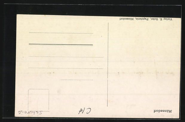 Cartoline postali: AK Männedorf, Blick auf See mit Bäumen – Usato da Berlin venduto da bartko-reher 1