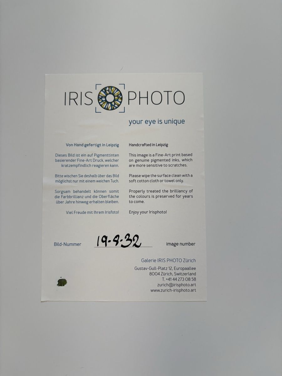 Foto & Immagini: Iris Foto Bild Aug – Usato da Dietikon venduto da YviG 4