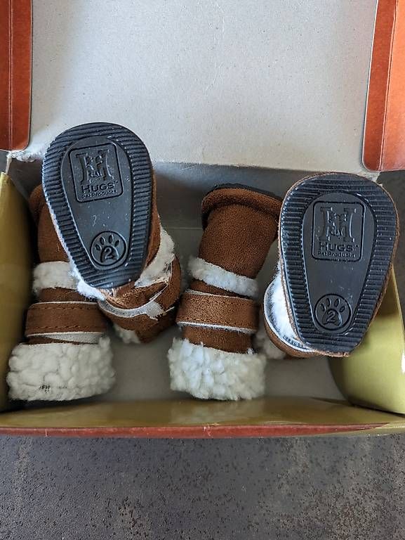 Abbigliamento: Hundesöckchen und Hunde "UGGS" – Usato da Edlibach venduto da Sanib 4