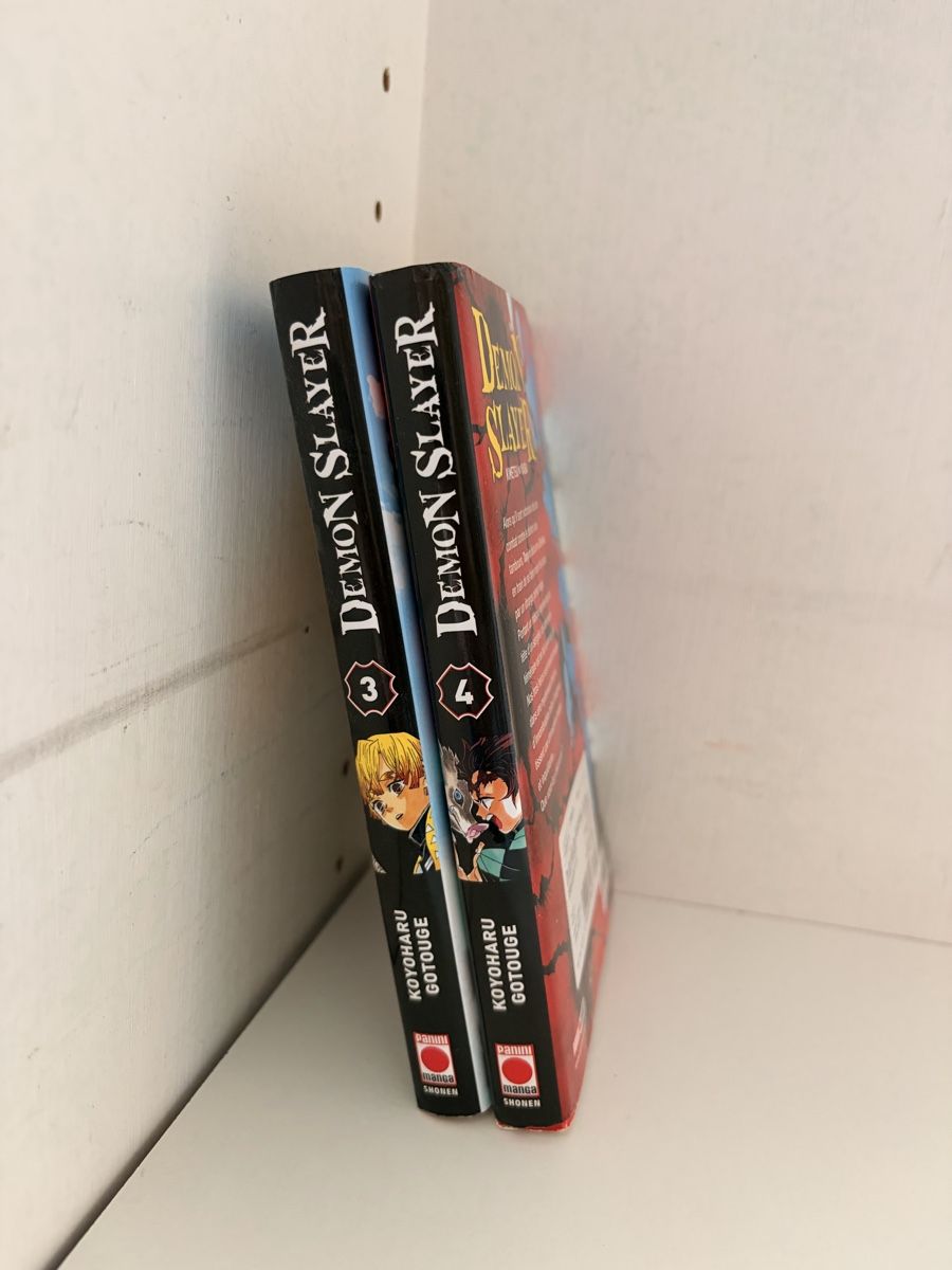 Comics: Manga Demon Slayer tomes 3 et 4. – Gebraucht aus Meyrin von bon_djk5 1
