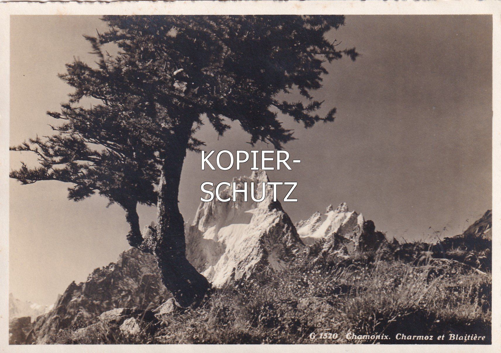 Cartoline postali: Chamonix - Charmoz et Blaitière /aw – Usato da Hombrechtikon venduto da Rudolf07