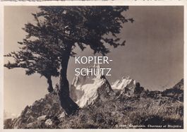 Chamonix - Charmoz et Blaitière /aw
