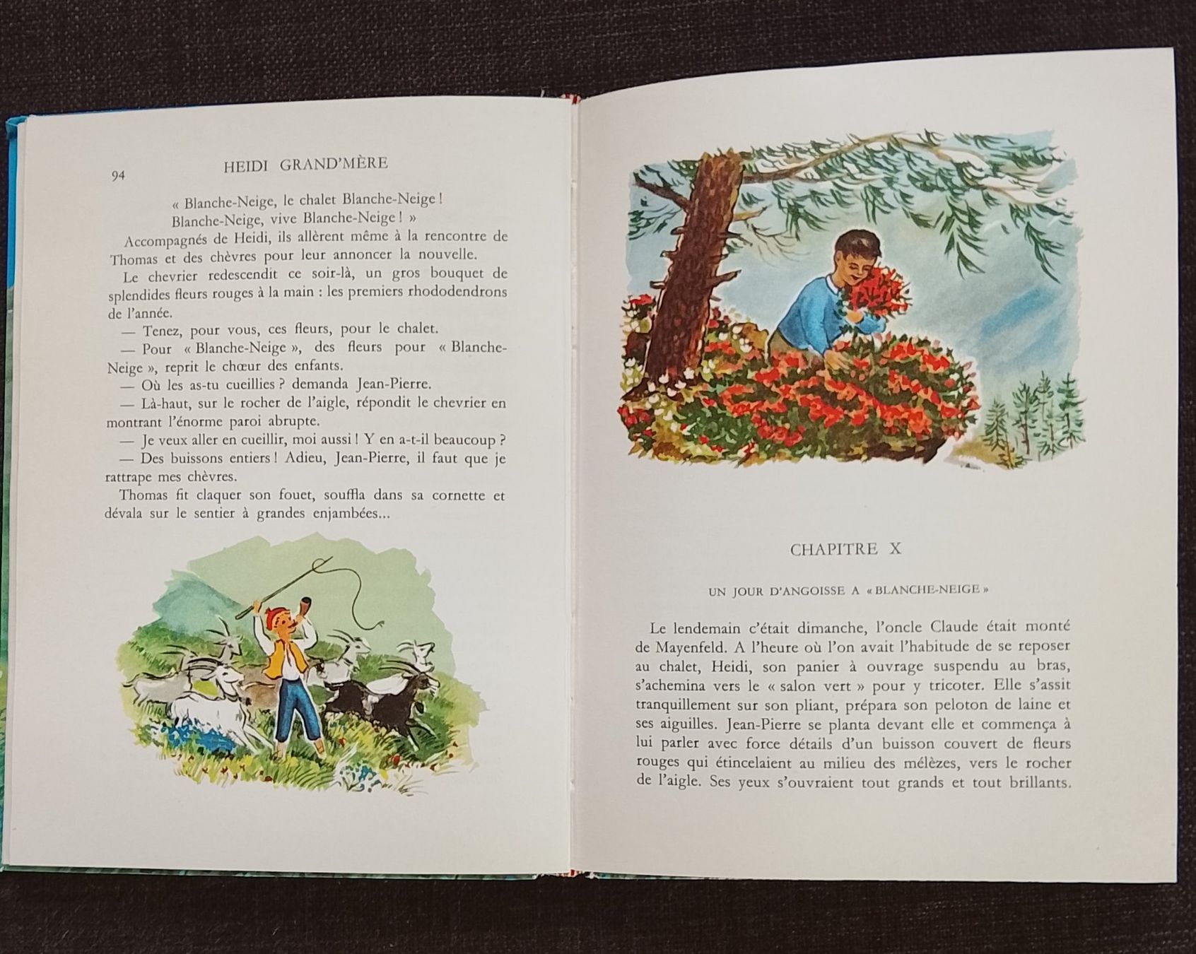 Libri: Livres Heidi – Usato da Couvet venduto da fat_kyl7 6