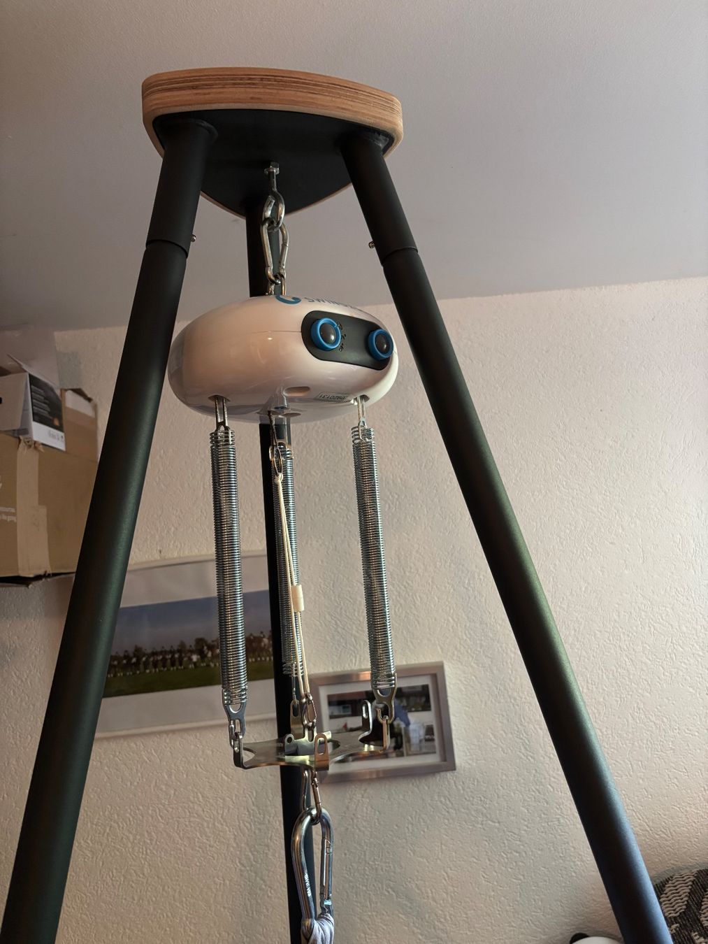Swing2sleep Sdraiette & Sdraiette a dondolo: Swing2Sleep Federwiege mit Gestell & Maly Motor – Usato da Otelfingen venduto da Stme77 6