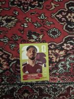 QAT 8 