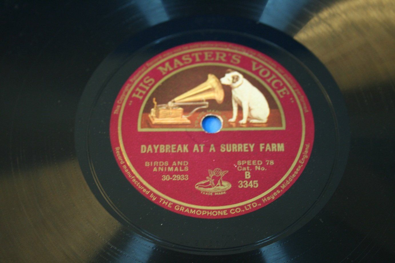 Dischi in vinile: Schallplatten Schellack, 78 Touren – Usato da Wettingen venduto da zibi137 4