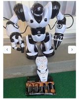 Roboter mit Fernbedienung