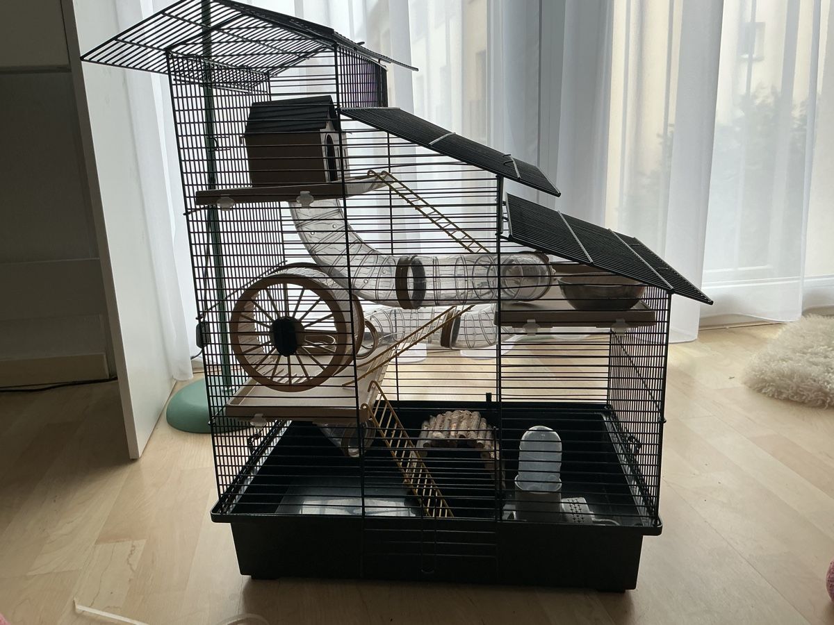 Terrariums: Hamster Käfig  – D'occasion à Allschwil par han_w8cx 5