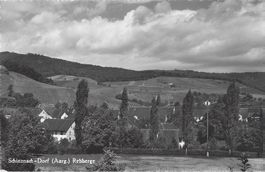 Schinznach - Dorf  (Aarg.)  Rebberge
