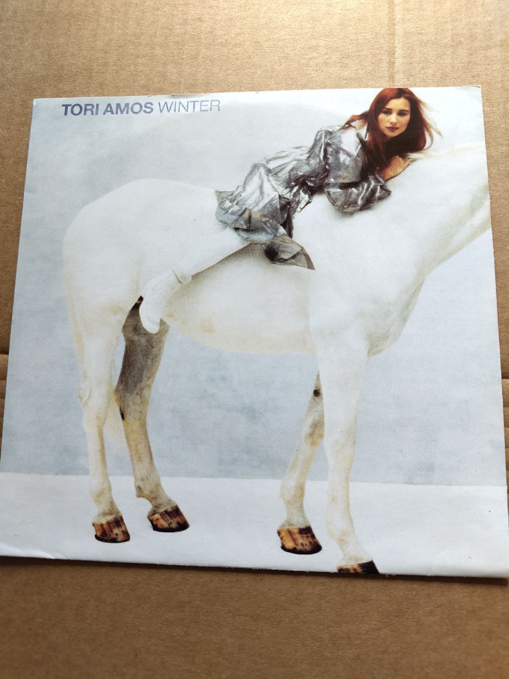 Dischi in vinile: Tori Amos - Winter 7" Single – Usato da Büsserach venduto da Bey23