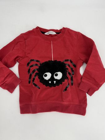 Pullover Gr. 98/104 von H&M mit Spinnen Motiv 