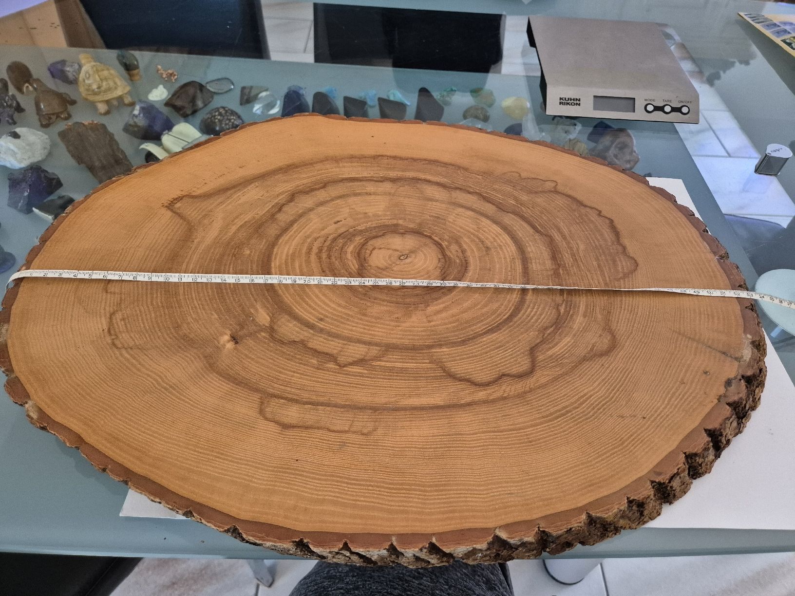 Holzartikel: Baumscheibe Holz mit Rinde 55cm  Unikat Brett Schneidebrett – Gebraucht aus Russikon von eunicetungol 3