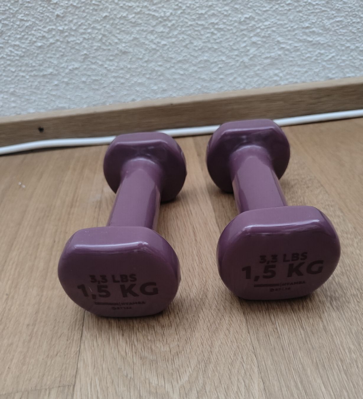 Decathlon Hanteln & Gewichte: Dumbbells 1,5 kg each  – Gebraucht aus Hedingen von oli_jhl5