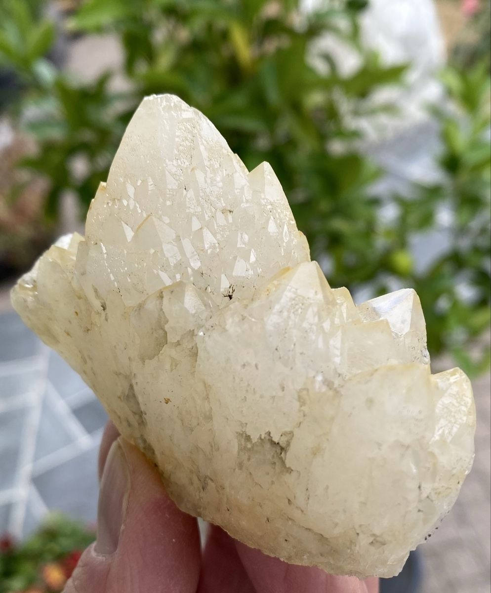 Mineralien & Heilsteine: Schöner Kaktusquarz – Gebraucht aus Selzach von 321compac 2
