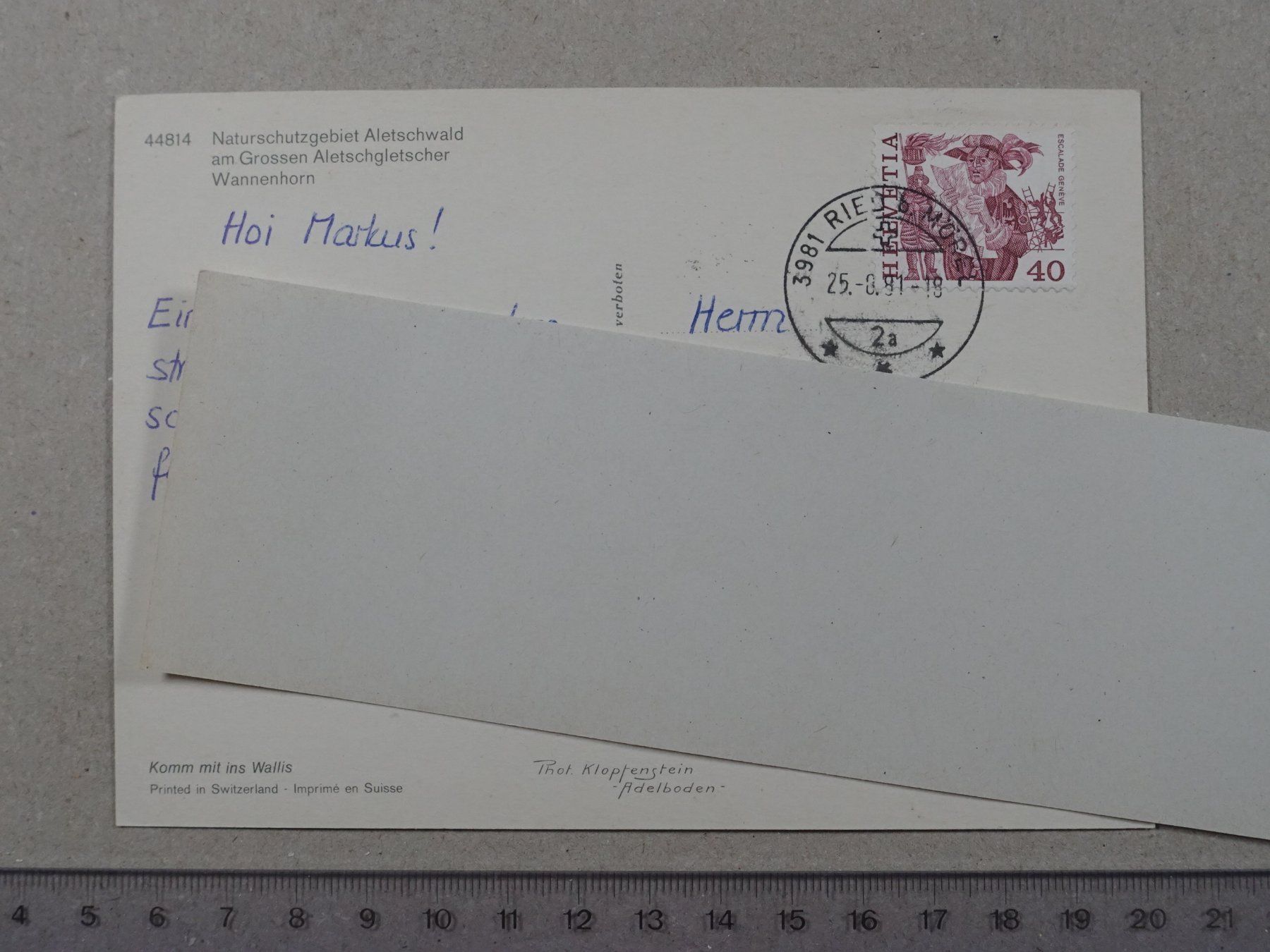 Cartoline postali: Aletschwald, Aletschgletscher, 1981, Stempel Ried bei Mörel – Usato da Lenzburg venduto da fh1 1