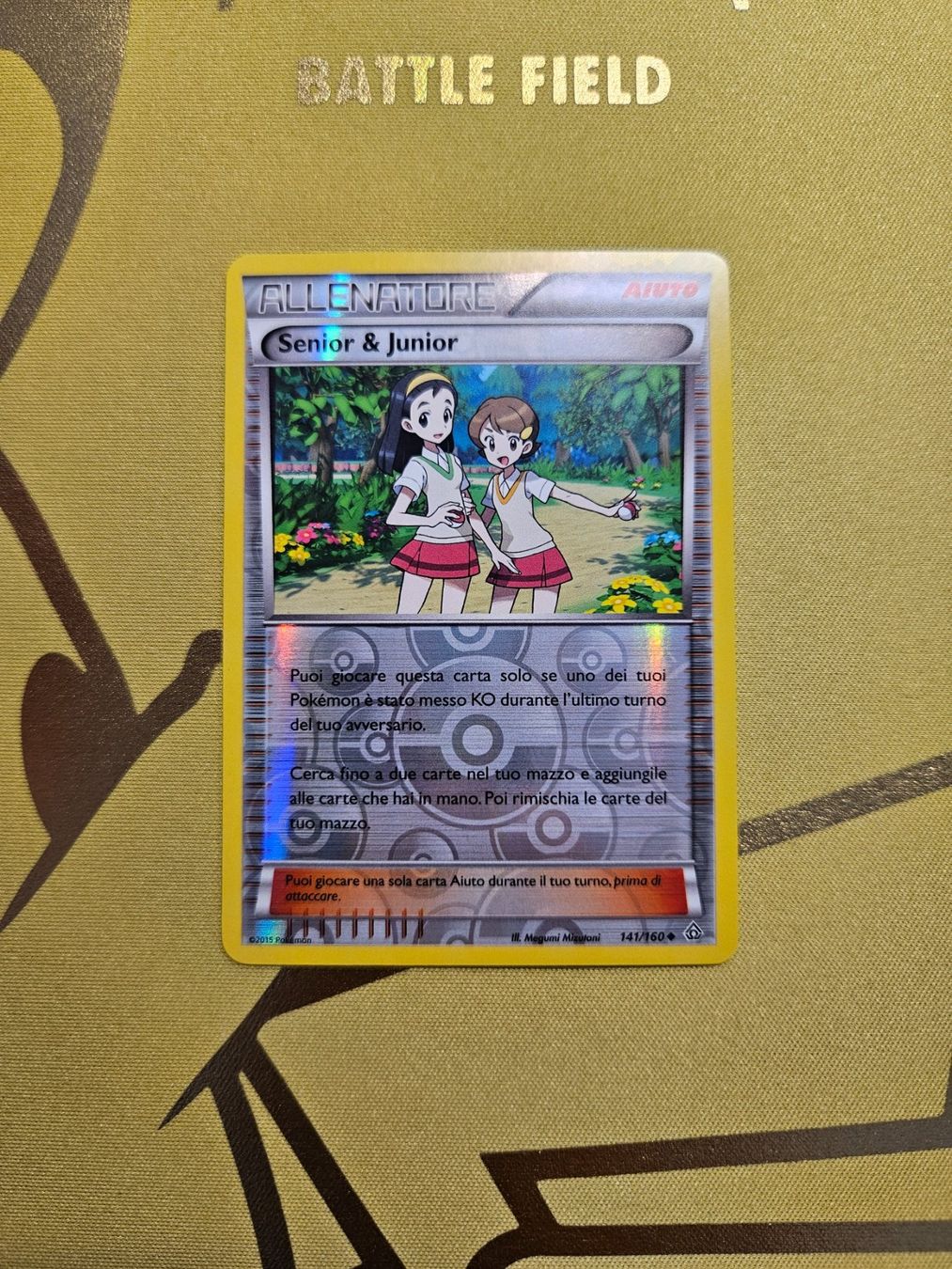Pokémon Carte collezionabili: Primal Clash - Senior & Junior – Usato da Bellinzona venduto da Pokemarco