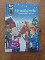 Die drei!!! Adventskalender - Weihnachtspony in Gefahr