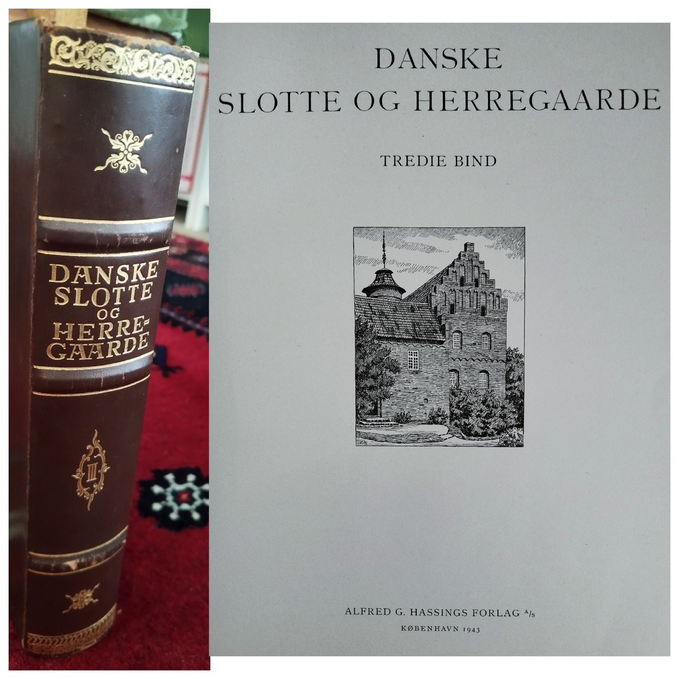 Album: Dänische Schlösser und Herrensitze – Usato da Walkringen venduto da ani_6bgd 7